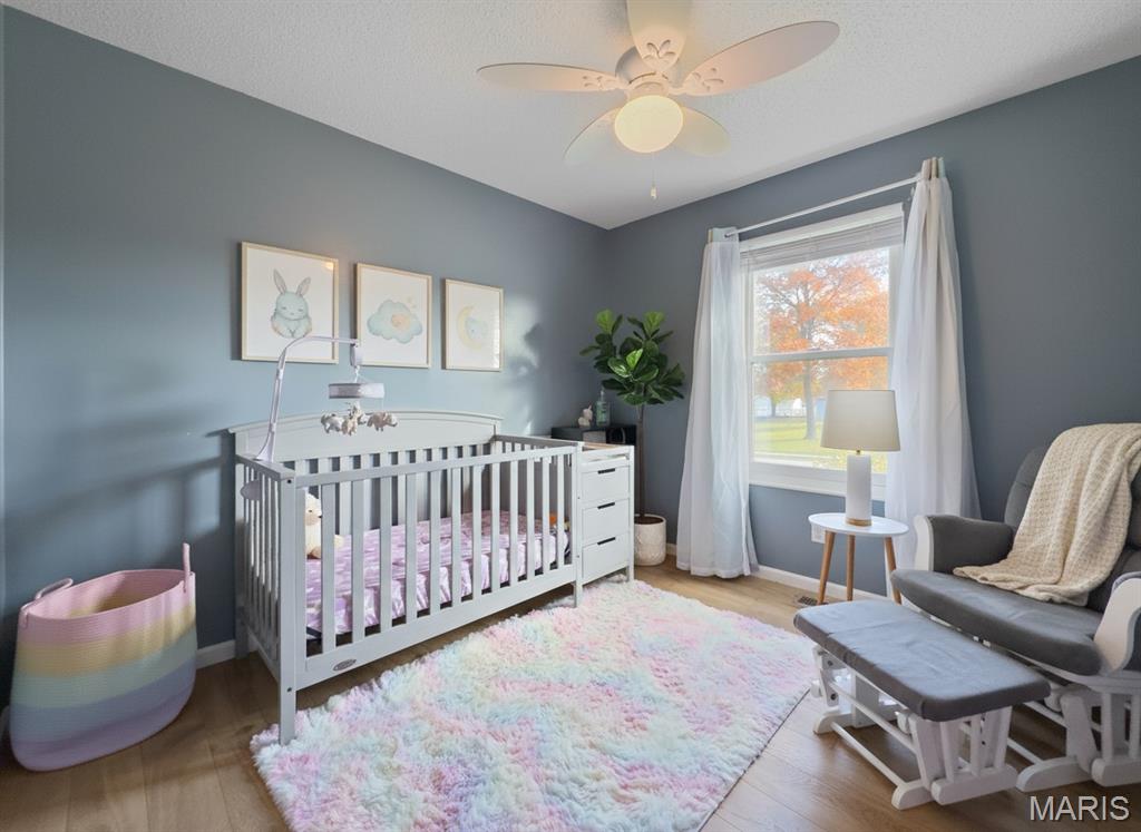 109 North Meyer Avenue Valmeyer, IL 62295 - Photo 30 of 48