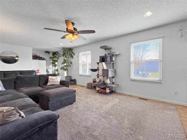 $285,000 | 109 North Meyer Avenue, Valmeyer, IL 62295