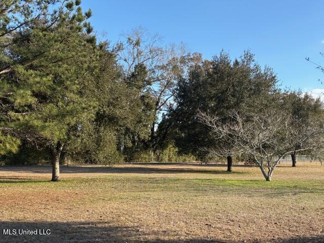 147 Howells Ferry Road Lucedale, MS 39452 - Photo 20 of 48 IMG_9664