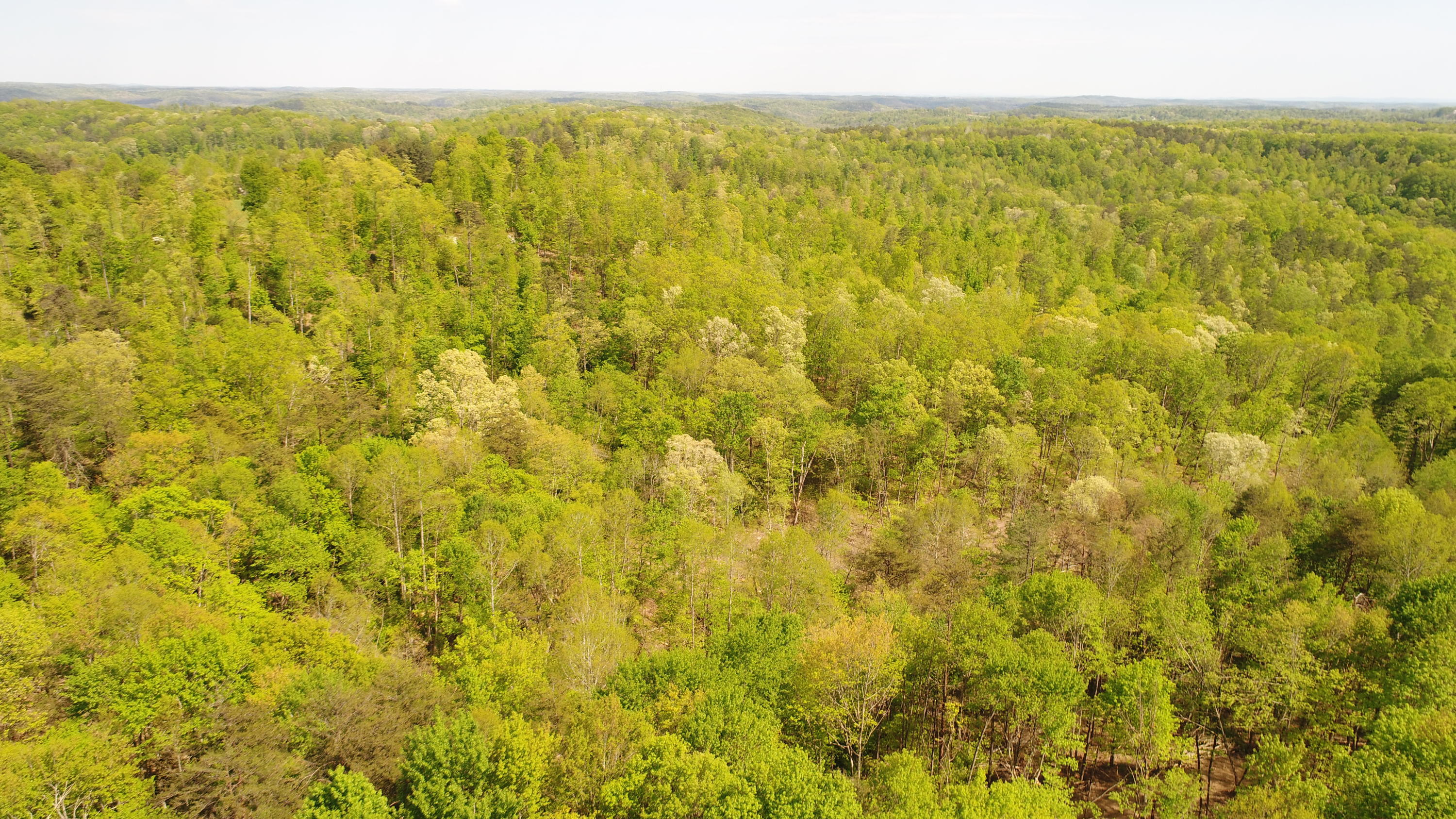 1234 Pine Ridge Road Somerset, KY 42501 - Photo 23 of 34 DJI_0331
