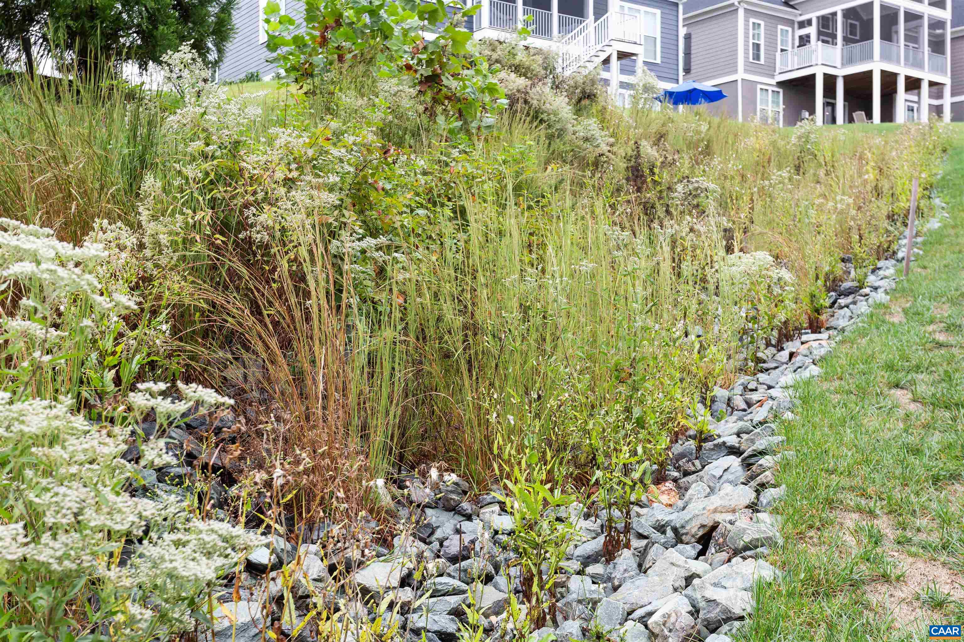 596 Drumin Road Keswick, VA 22947 - Photo 56 of 57 a view of a big yard and large trees