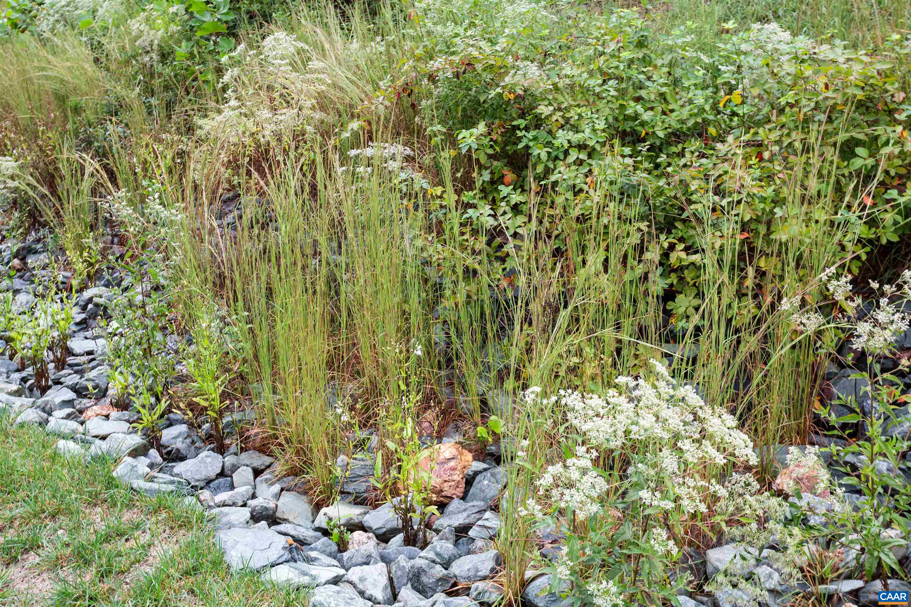 596 Drumin Road Keswick, VA 22947 - Photo 57 of 57