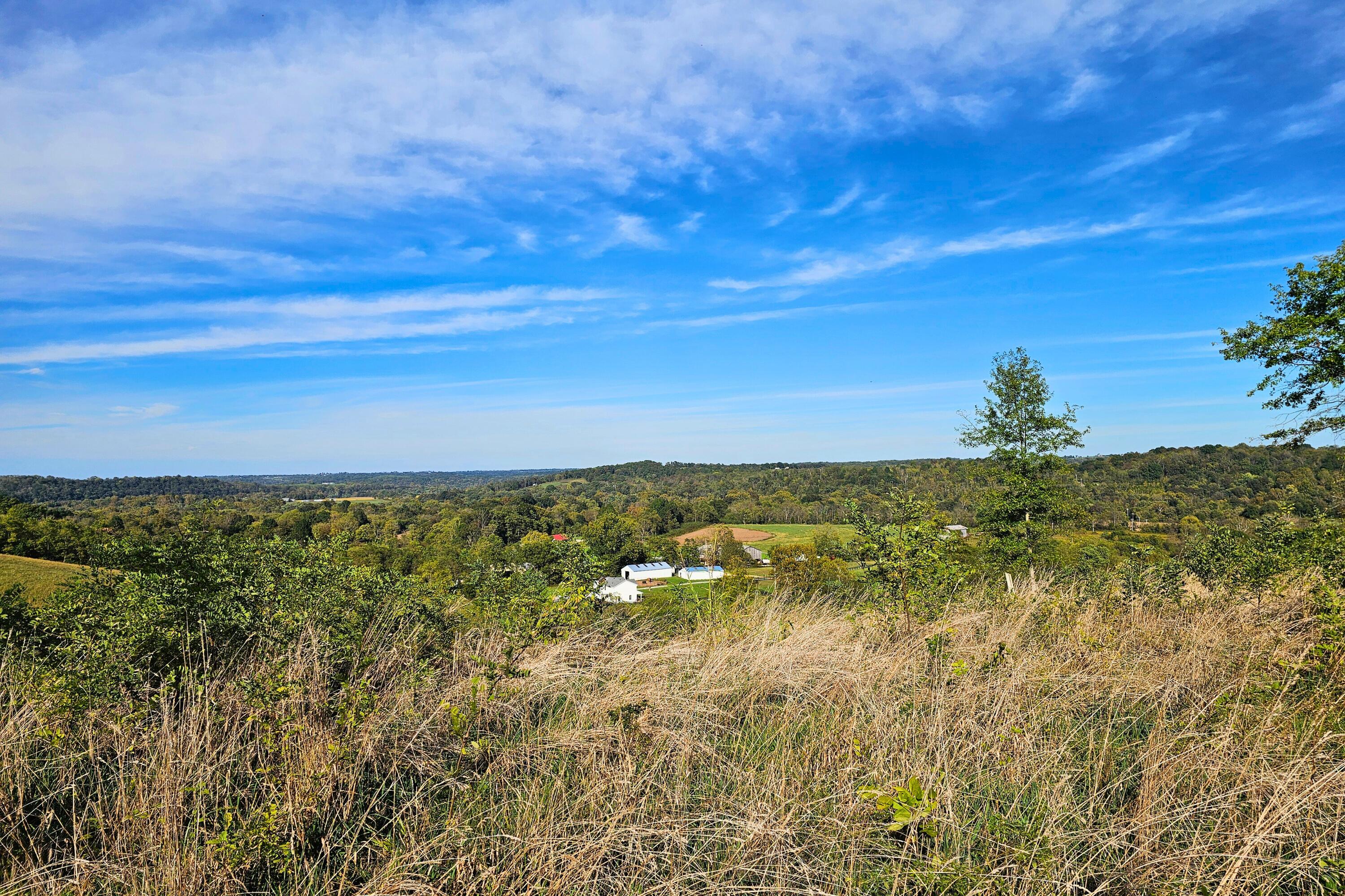 817 Ed Monroe Road Falmouth, KY 41040 - Photo 15 of 25 Gallery Image 15