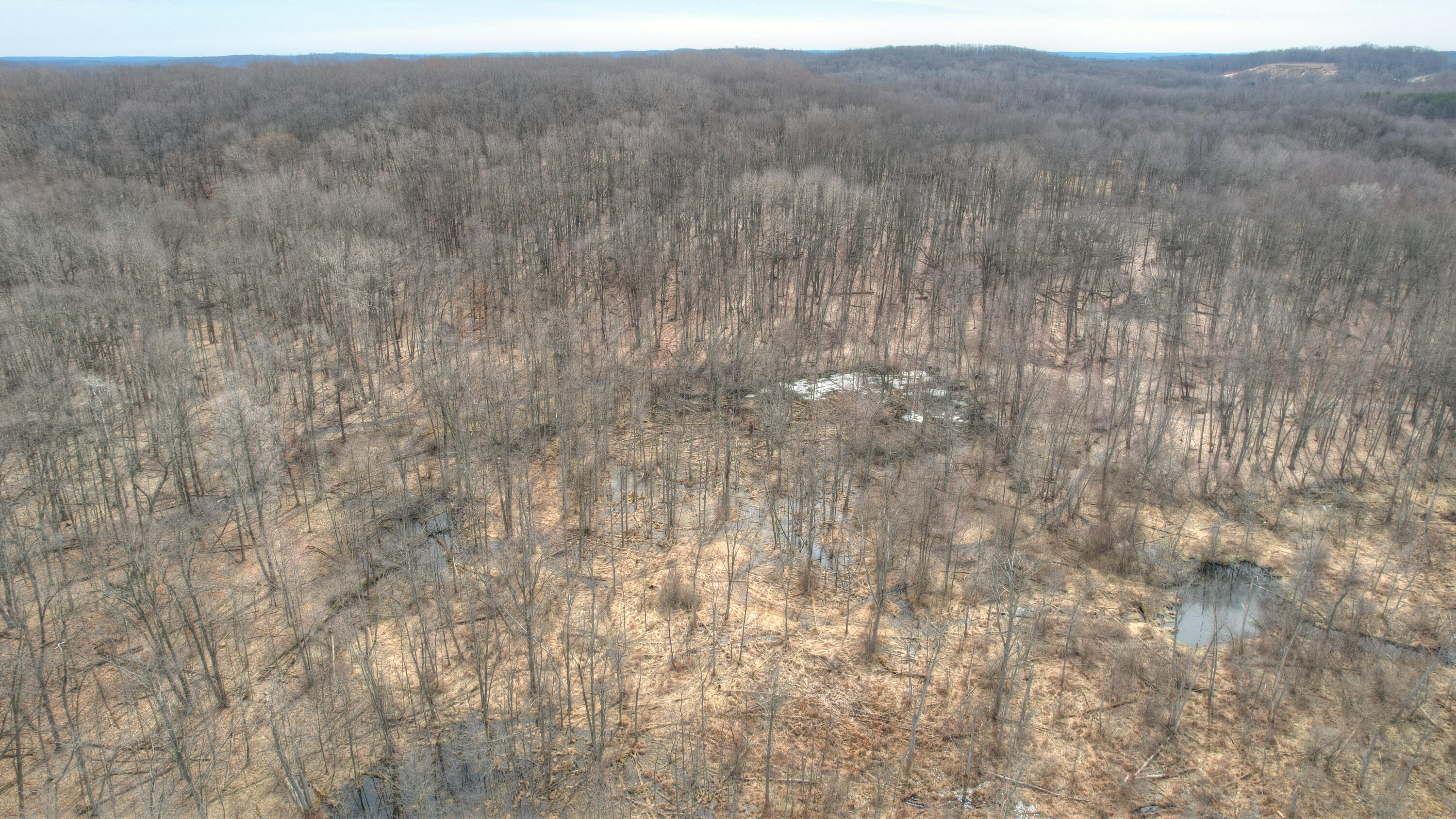 Court-parcel 3 Glenn Clay Freeport, MI 49325 - Photo 15 of 21 DJI_0993_4_5_6_7