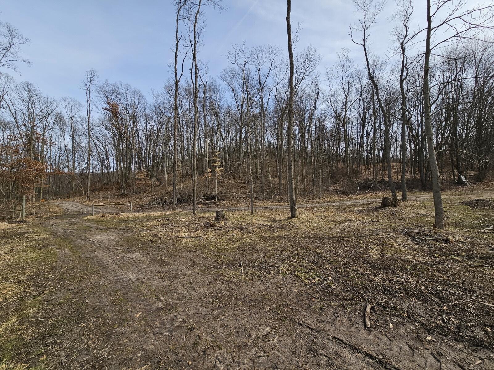 Court-parcel 3 Glenn Clay Freeport, MI 49325 - Photo 16 of 21 Resized_20230324_141636