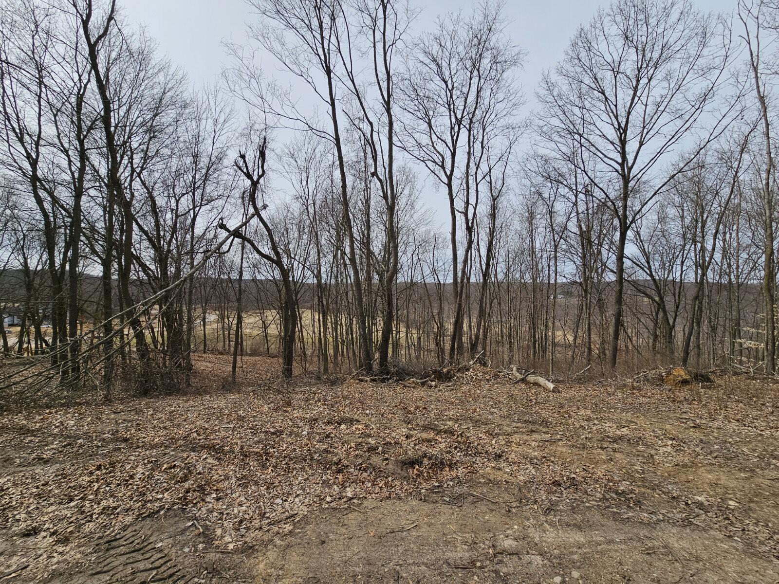 Court-parcel 3 Glenn Clay Freeport, MI 49325 - Photo 21 of 21 Resized_20230324_143742