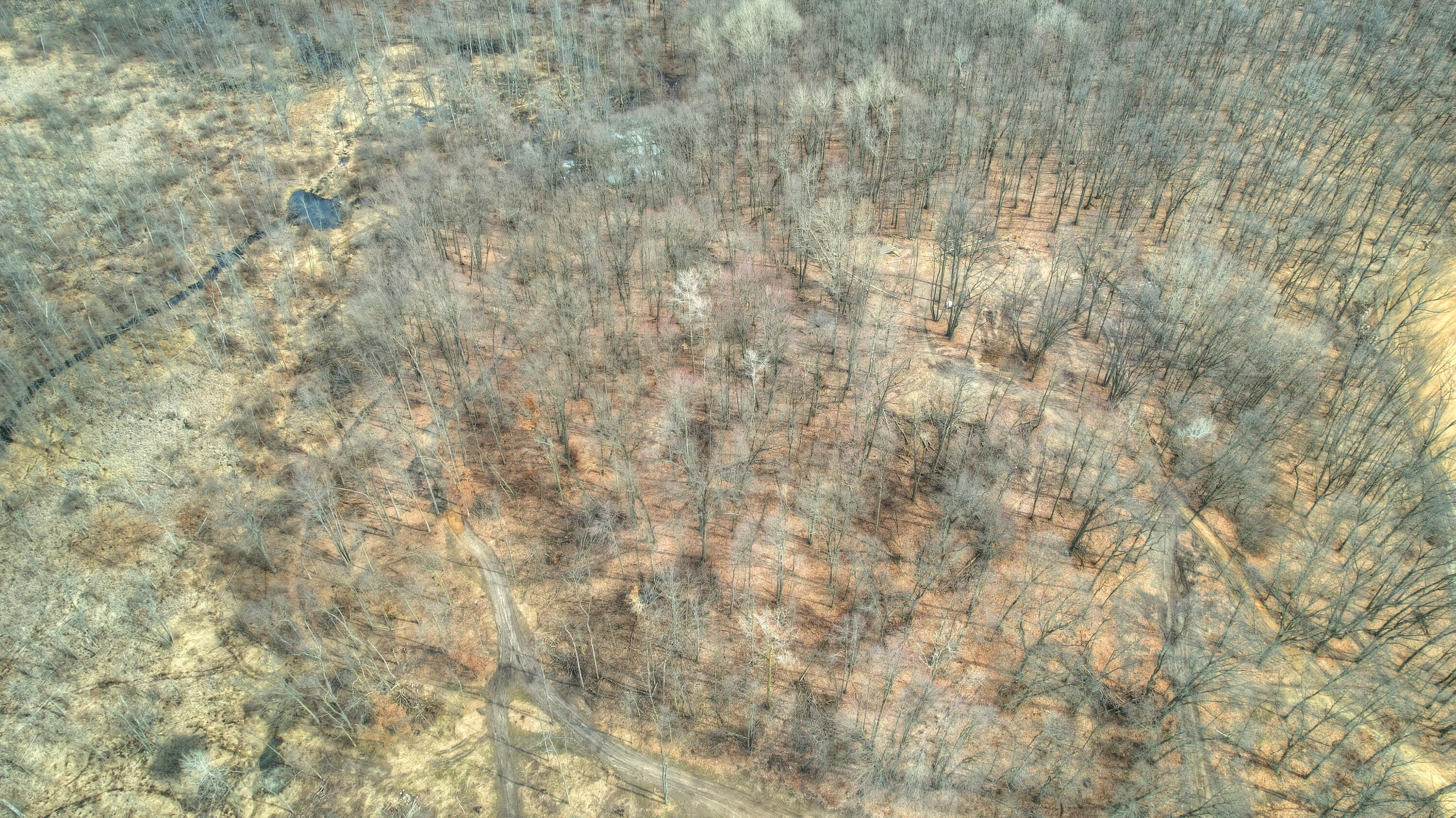 Court-parcel 3 Glenn Clay Freeport, MI 49325 - Photo 7 of 21 DJI_0958_59_60_61_62