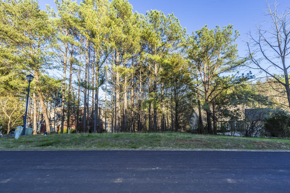 166 Inagehi Way Loudon, TN 37774 - Photo 9 of 9 166 Inagehi Way 6 - Tom Gongola