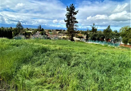 a view of a garden with houses