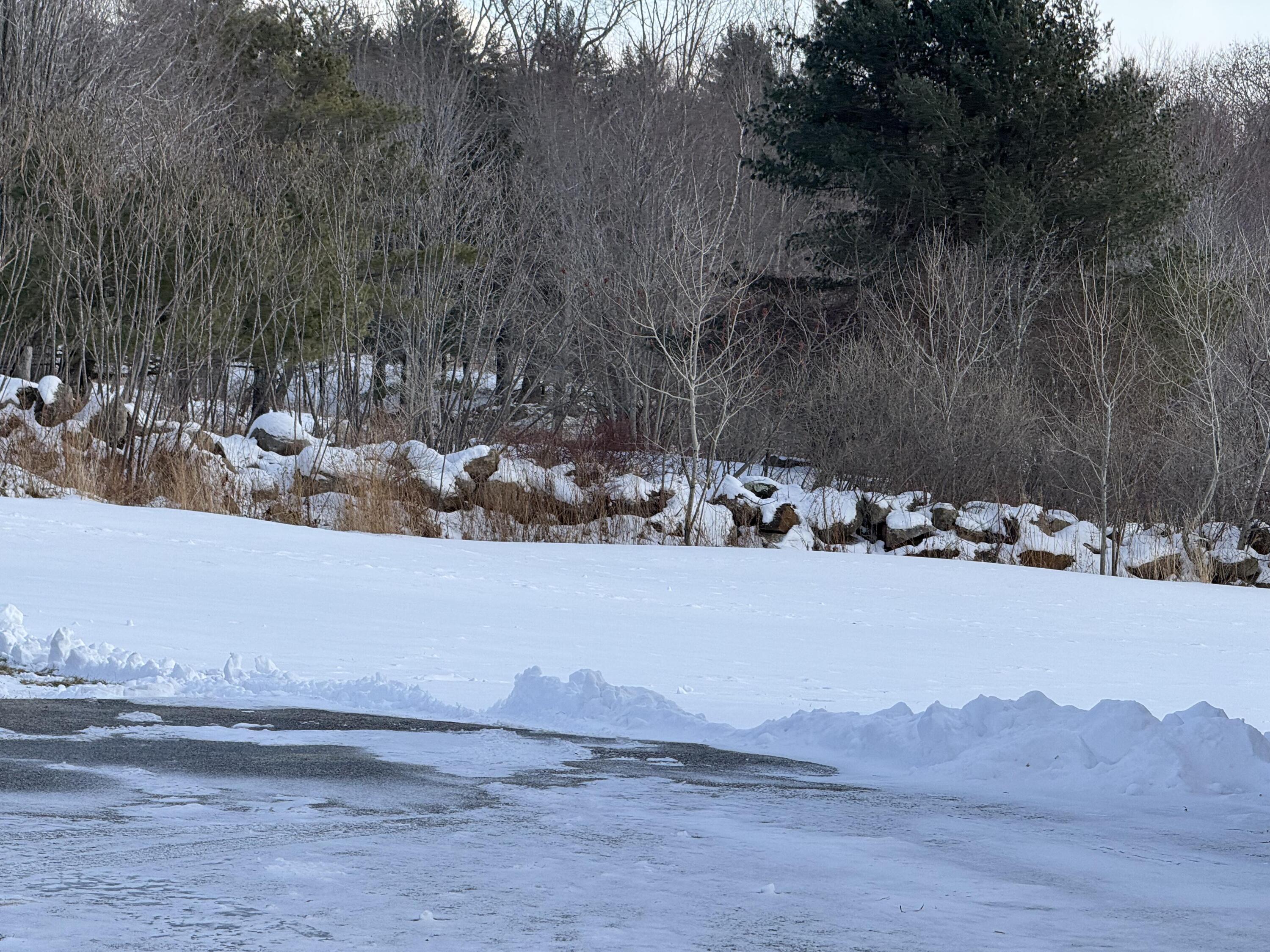 8 Durgin Farm Road Limington, ME 04049 - Photo 38 of 40 IMG_8781_20260406_100321