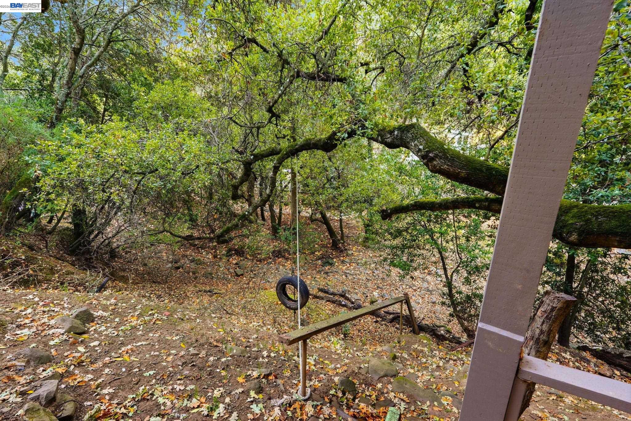 2929 Kilkare Road Sunol, CA 94586 - Photo 39 of 40 a view of a yard