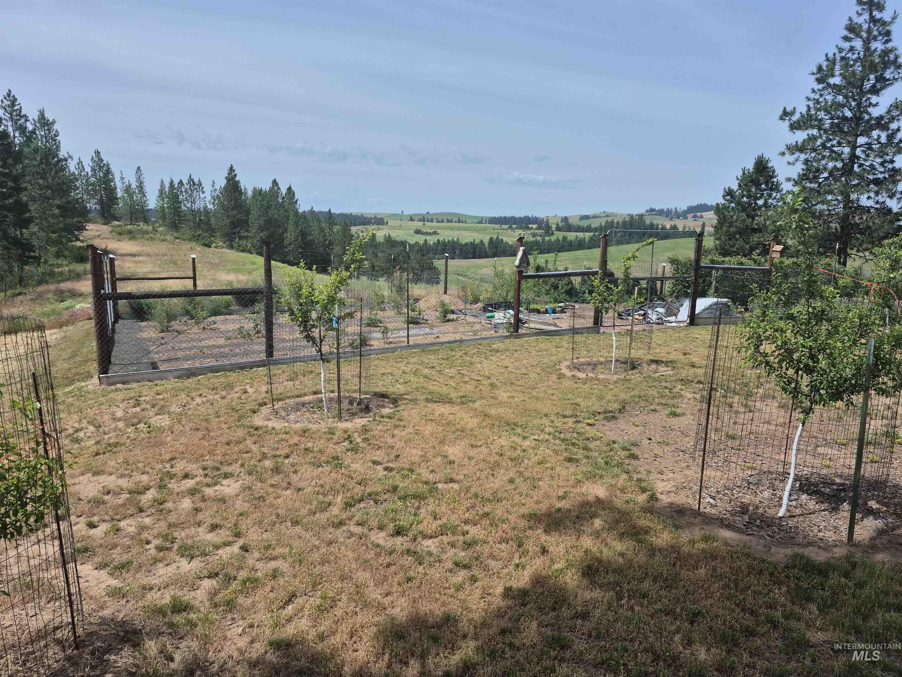 1044 Clemenhagen Road Kendrick, ID 83537 - Photo 25 of 49