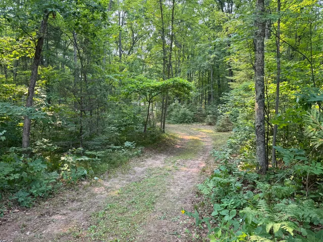 $109,900 | 16253 Caberfae Highway, Wellston, MI 49689