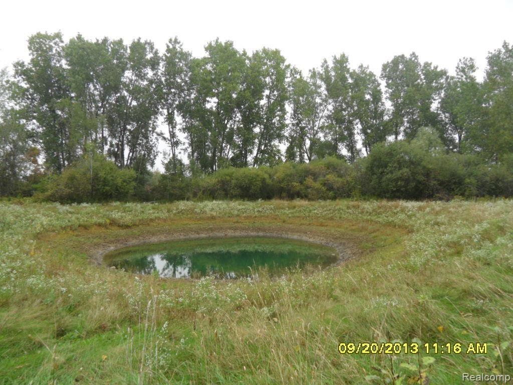 9990 Webb Road Goodells, MI 48027 - Photo 17 of 18 pond.jpg