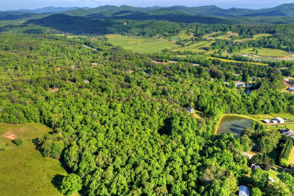 8.52 Ac Mcnelley Road Morganton, GA 30560 - Photo 30 of 47
