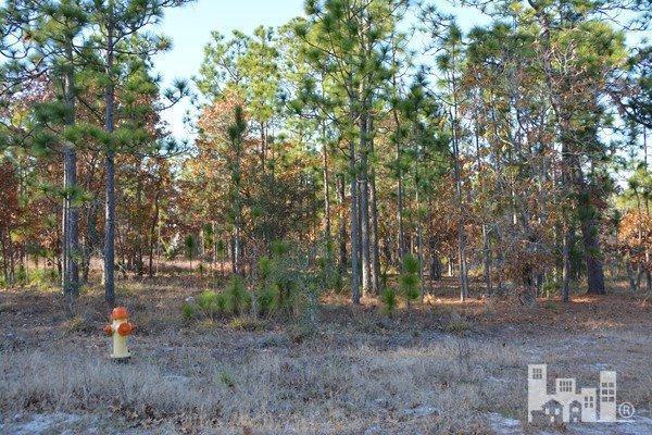 0 Pinehurst Road Southport, NC 28461 - Photo 1 of 1 Primary Photo