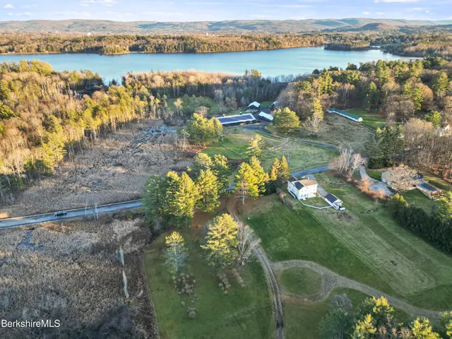 a close up of a flower in a garden