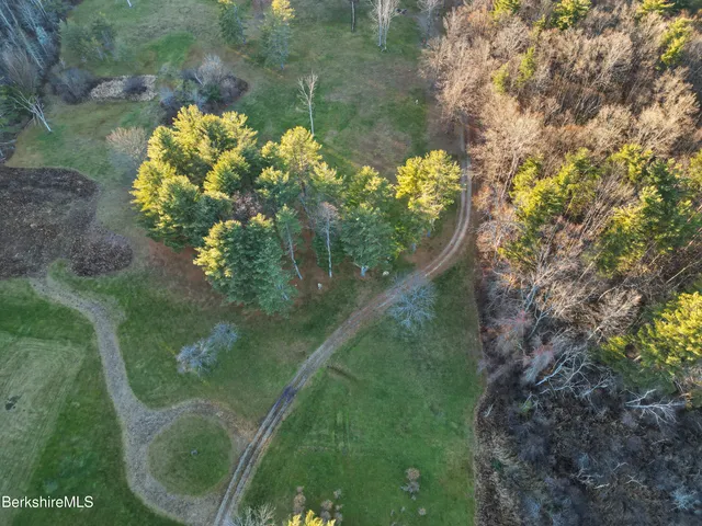 a view of a park with large trees