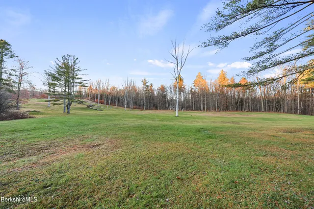 a view of a field with a big yard