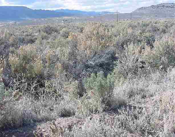 33 Dry Valley Road Reno, NV 89502 - Photo 1 of 1 Gallery Image 1