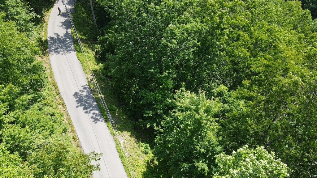 0 Lower Alpine Way Gatlinburg, TN 37738 - Photo 2 of 7