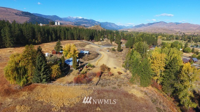 21 Horizon Flats Road Winthrop, WA 98862 - Photo 2 of 14 Gallery Image 2