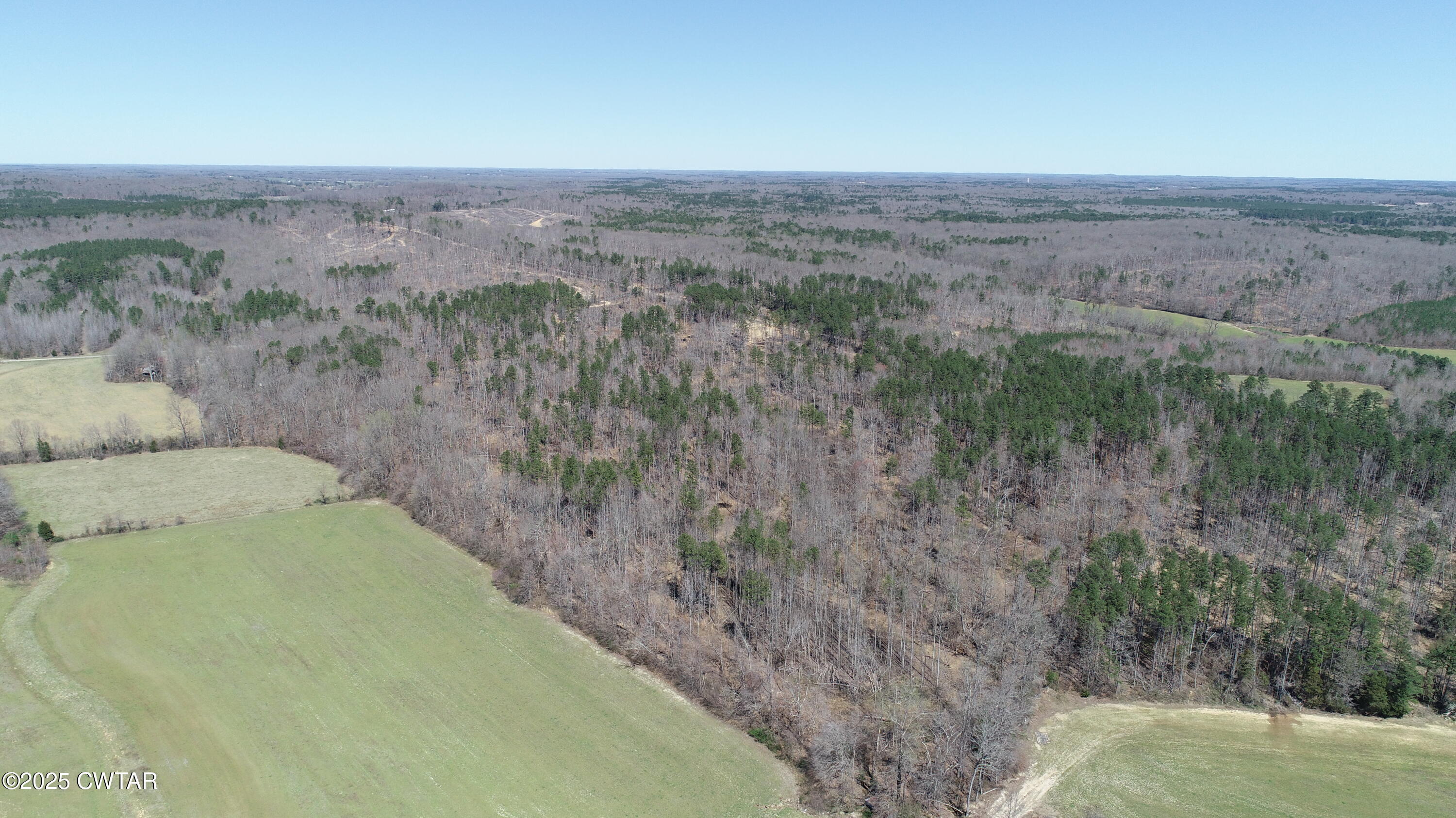 3 State Route 225 Finger, TN 38334 - Photo 6 of 18 DJI_0014