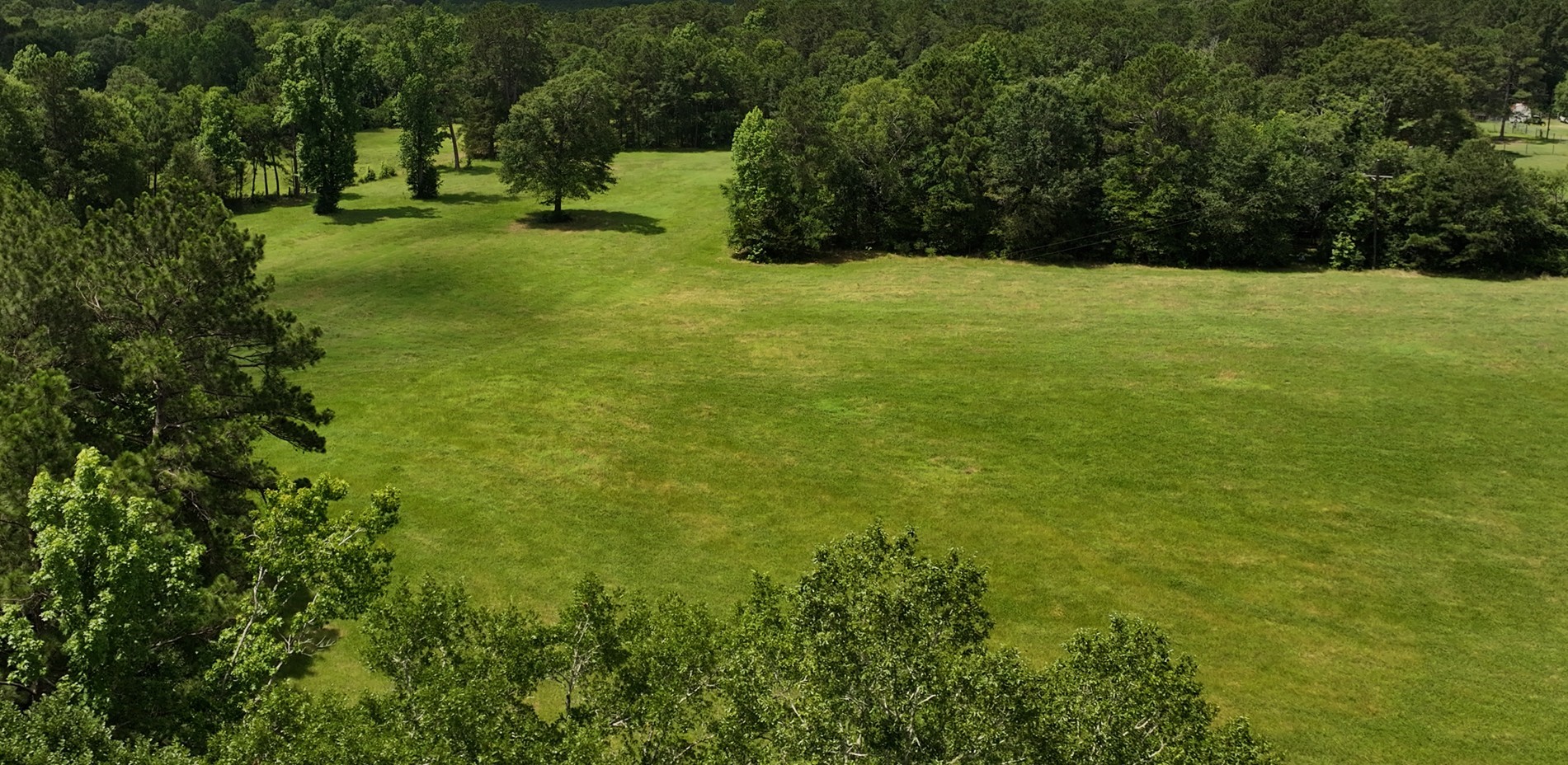 162 Lloyd James Road Groveton, TX 75845 - Photo 13 of 41