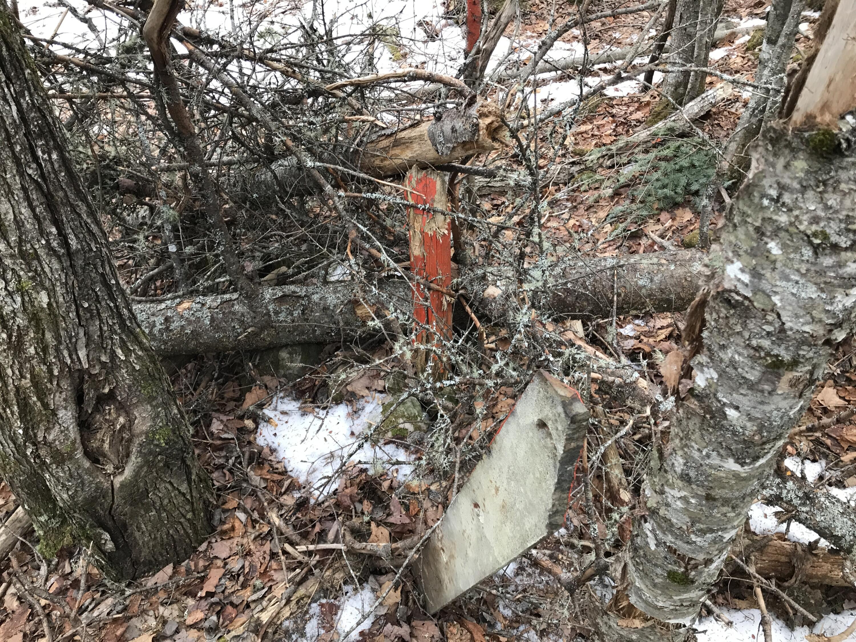 0 York Ridge Road Ashland, ME 04732 - Photo 14 of 14 Photo Dec 18, 1 52 54 PM