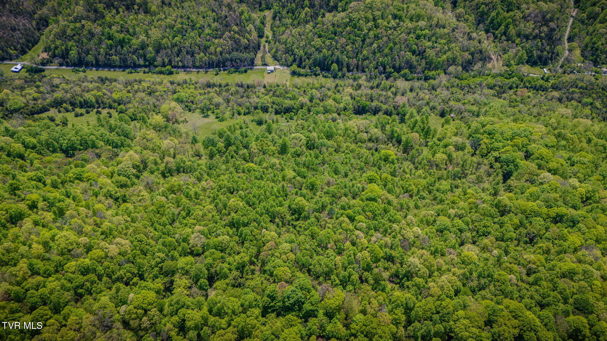5367 Clinch Mountain Road Eidson, TN 37731 - Photo 12 of 16 011
