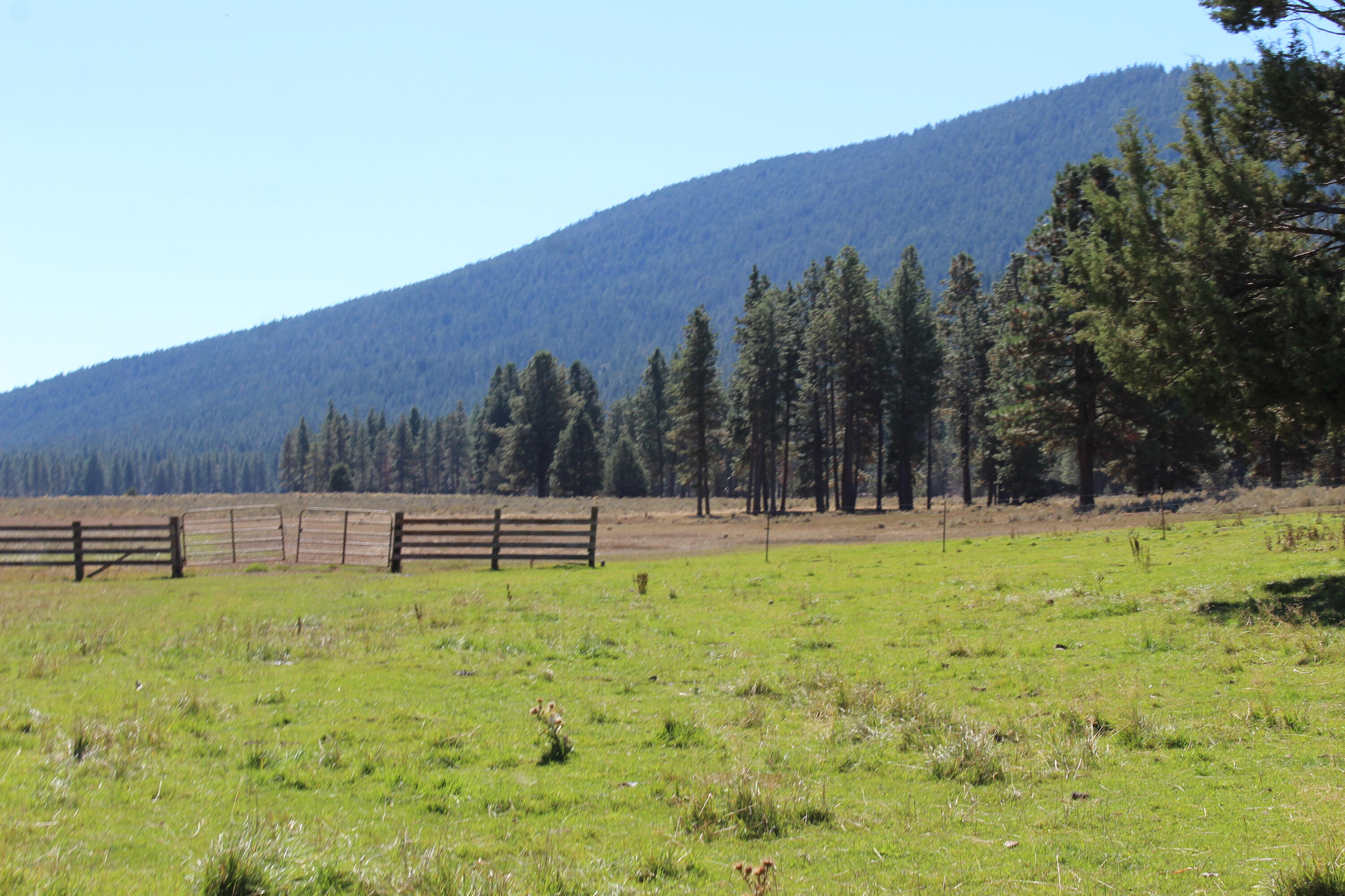 12046 Old Fort Road Klamath Falls, OR 97601 - Photo 29 of 59