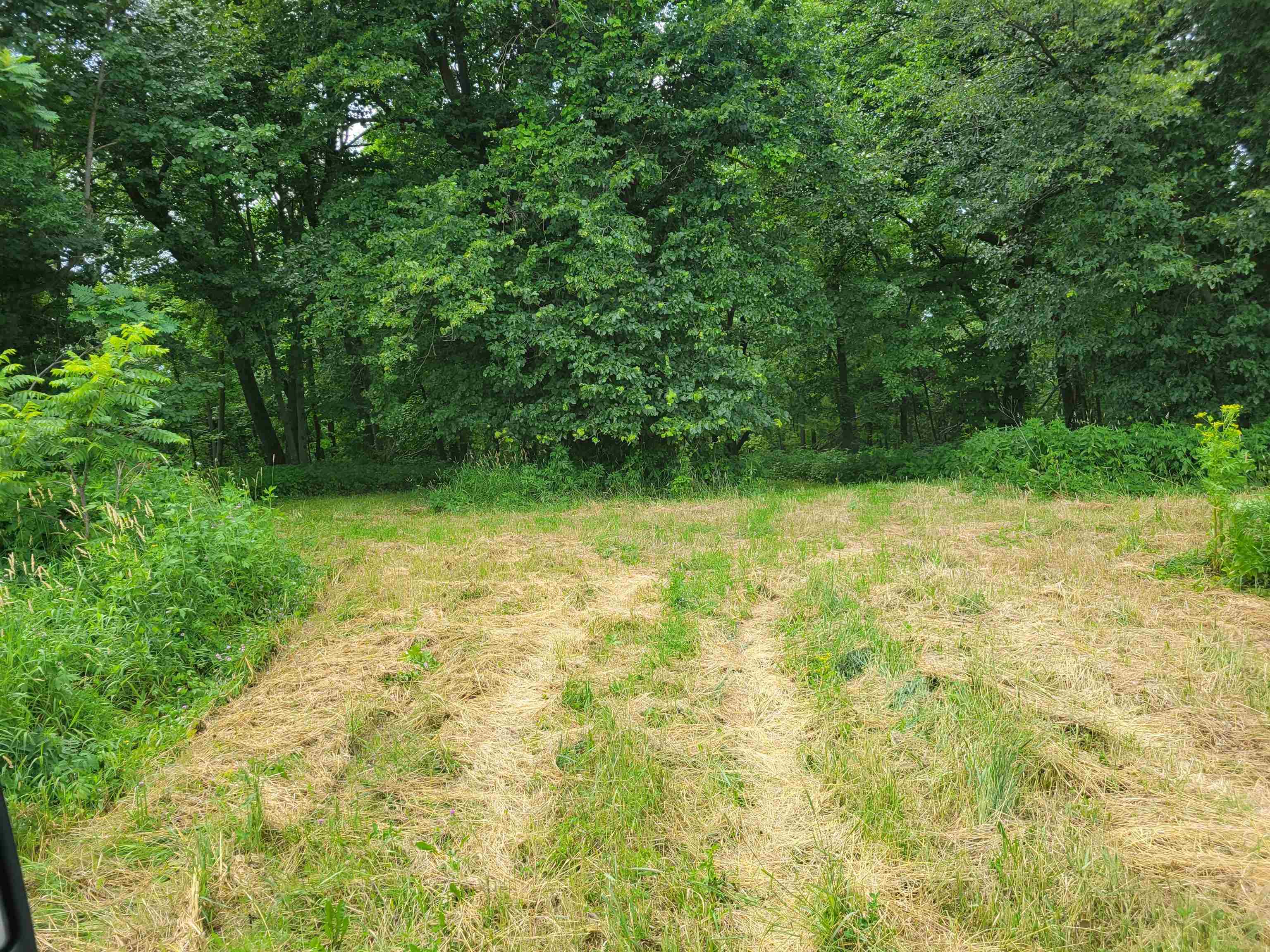 22.45-acres Gunder Road Farmersburg, IA 52047 - Photo 1 of 1 Gallery Image 1