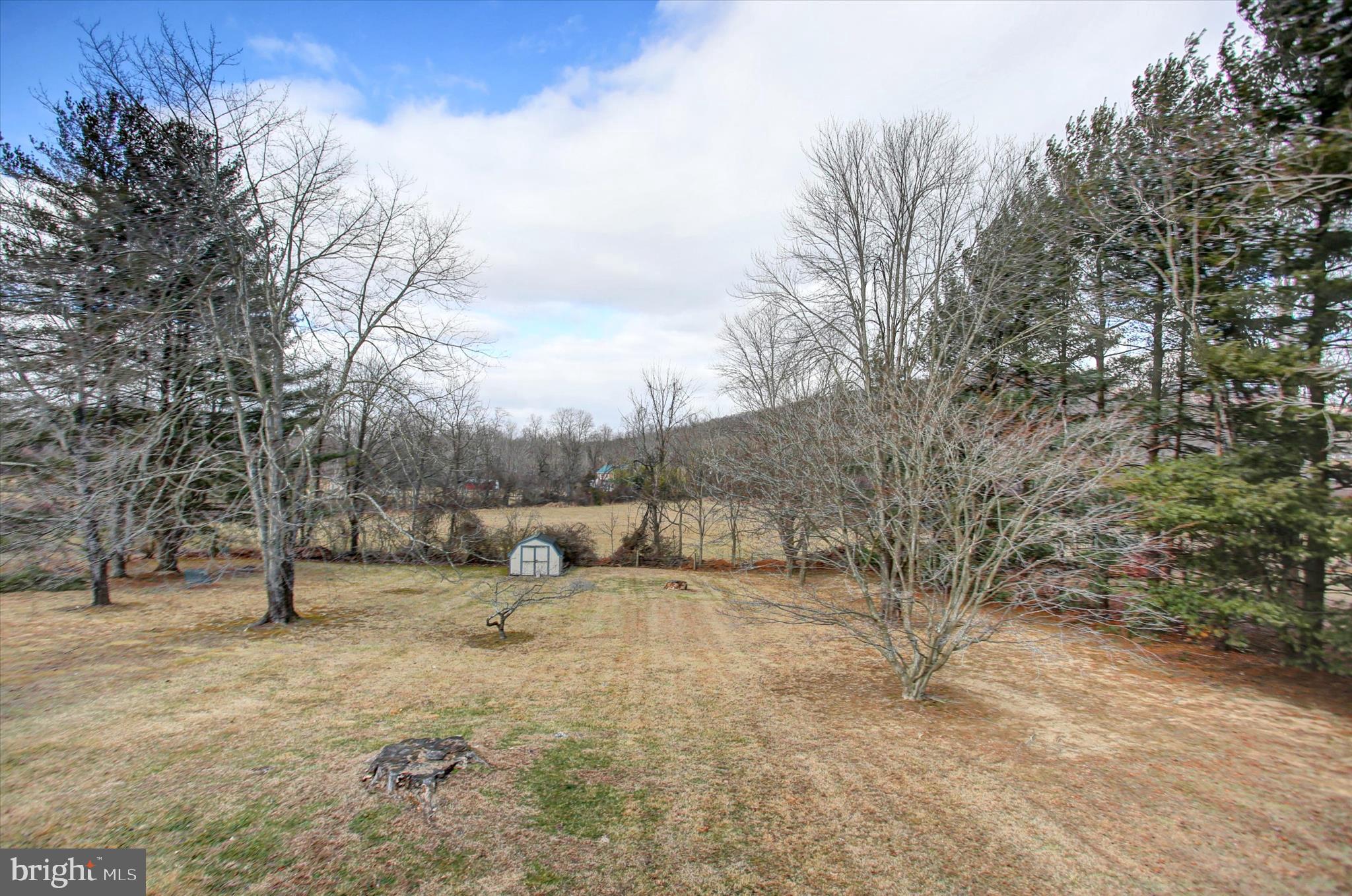 10839 Old Forge Road Waynesboro, PA 17268 - Photo 48 of 48 a view of backyard with tree
