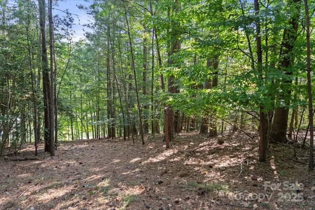a view of outdoor space and trees