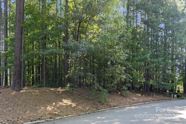 a view of a field with trees in the background