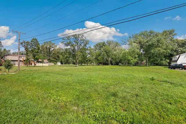 a view of a field with an tree