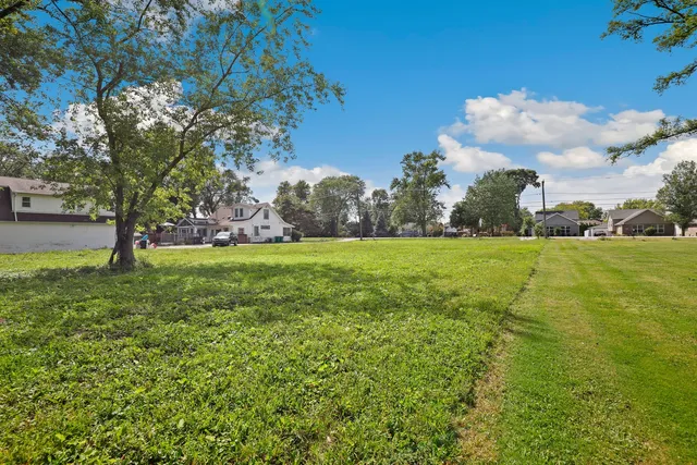 a view of a field with tree in the background