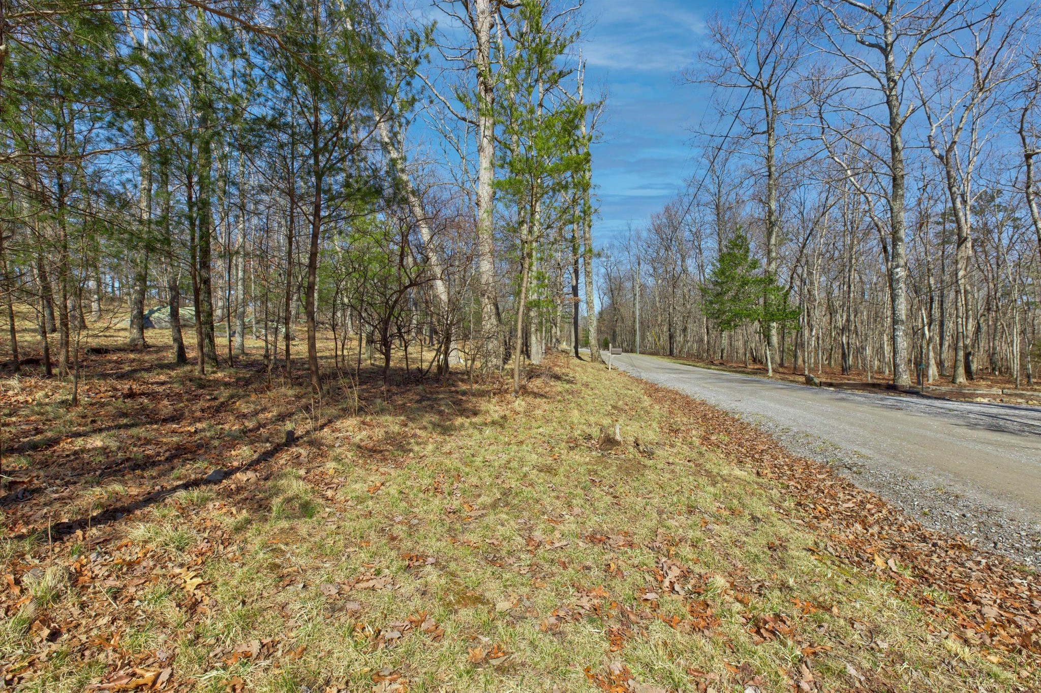 0 West Bluff Road Cloudland, GA 30731 - Photo 27 of 28 Gallery Image 27