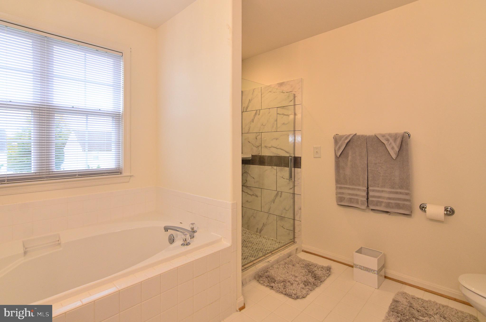 700 Race Course Road Warrenton, VA 20186 - Photo 25 of 37 Master Bath