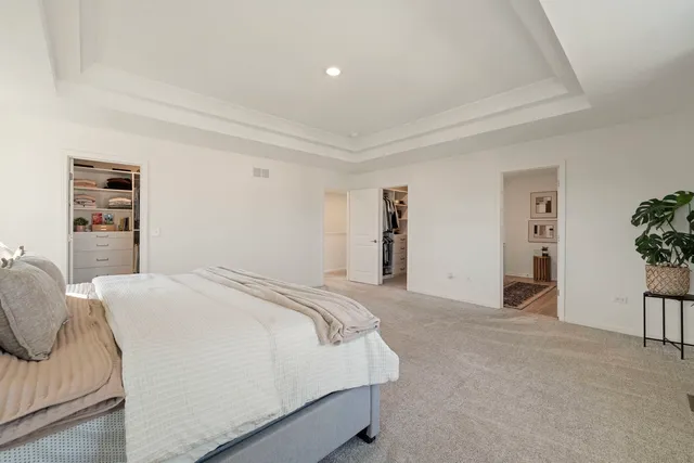 a spacious bedroom with a bed and a cabinets