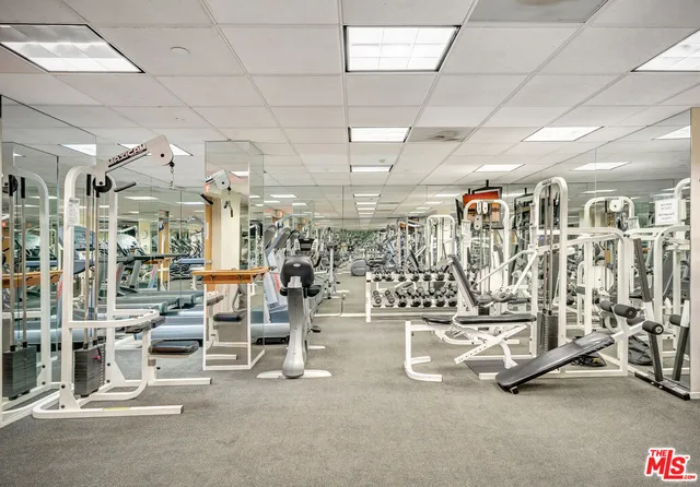 a view of a room with shelves and closet