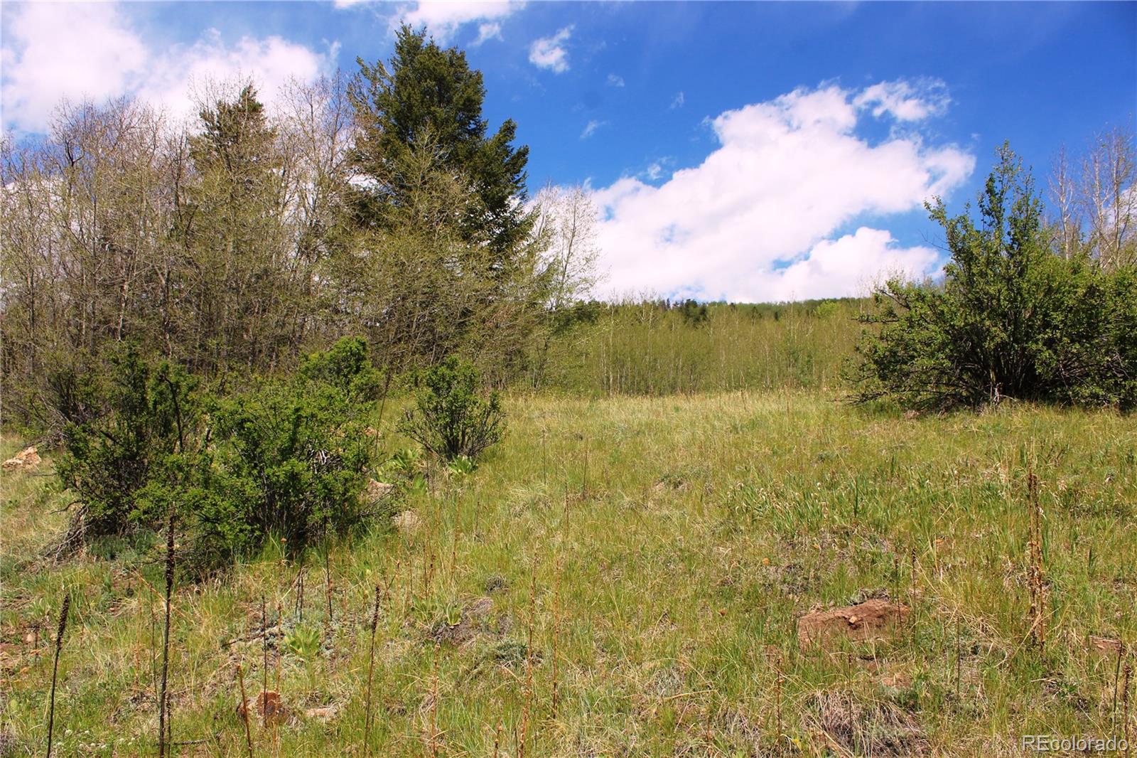 0 Quartz Hill Road Central City, CO 80427 - Photo 9 of 30