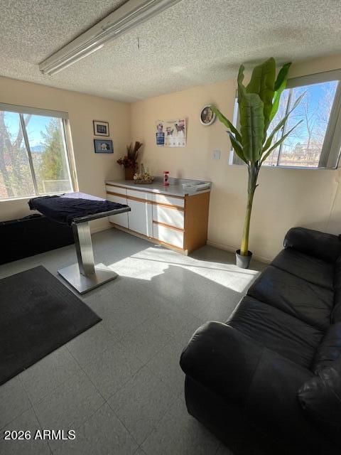 1250 North Fort Grant Road Willcox, AZ 85643 - Photo 11 of 16 IMG_6711