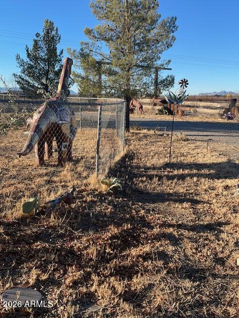 1250 North Fort Grant Road Willcox, AZ 85643 - Photo 13 of 16 IMG_6700