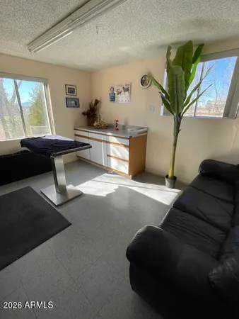 a view of an ocean with boats and trees in the background