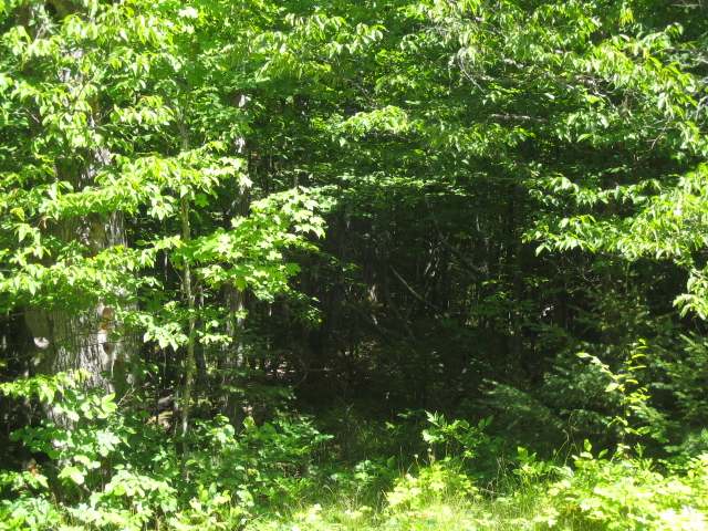On On Cth G, Unit LT11 Mercer, WI 54547 - Photo 2 of 12 Gallery Image 2