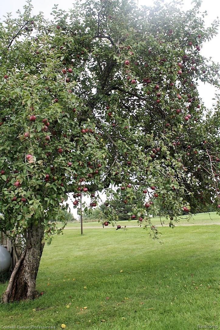 3256 Davis Lake Road Lapeer, MI 48446 - Photo 60 of 61 thumb_IMG_6873_1024.jpg