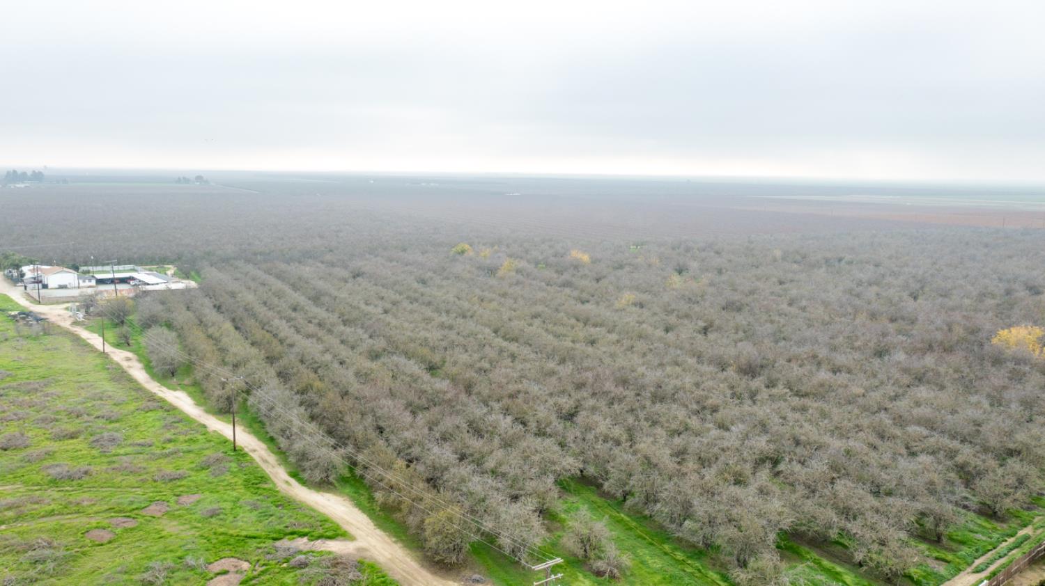 0 Ave 48 Earlimart, CA 93219 - Photo 14 of 21 a view of a dry yard with lots of tress in it