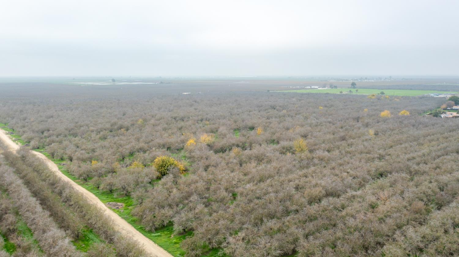 0 Ave 48 Earlimart, CA 93219 - Photo 16 of 21 a view of a field with an outdoor space