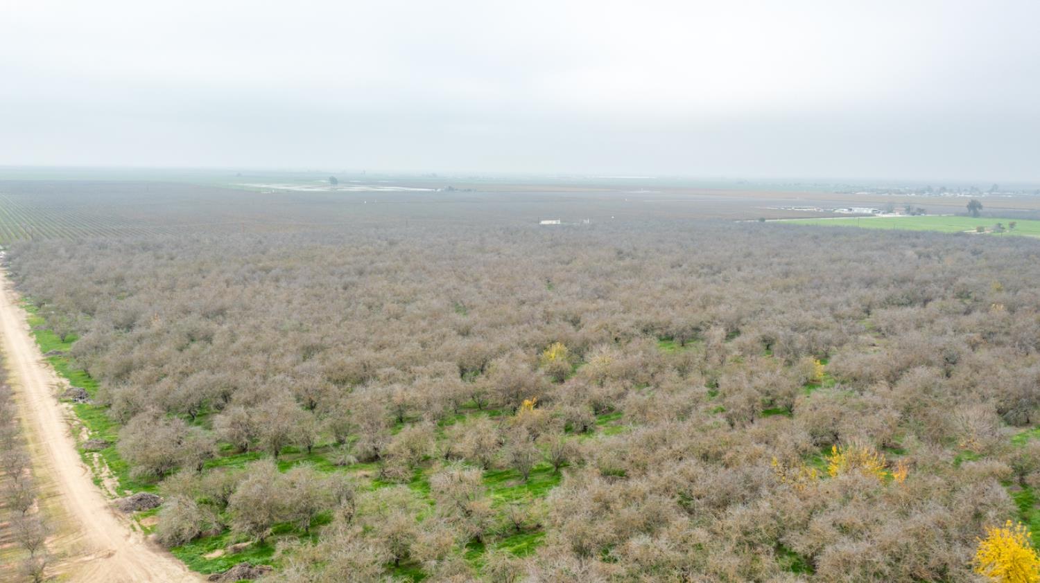 0 Ave 48 Earlimart, CA 93219 - Photo 17 of 21 a view of a field with trees in it